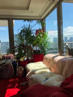 日当たり良すぎて