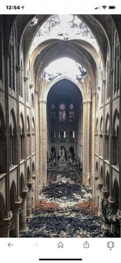 ショック!本当にショック