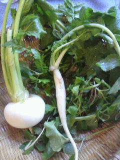 ����