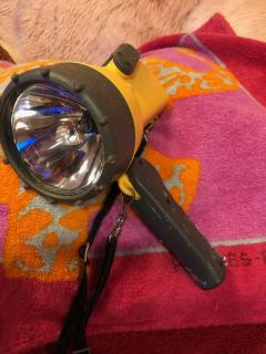 ���������ƿ���ʤ�