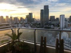 ����ݤ��ƿ���ΤϺ�����