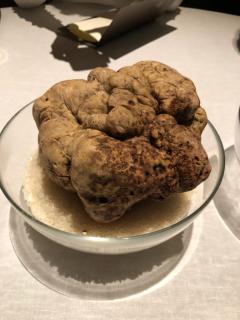 これ、白トリフです。