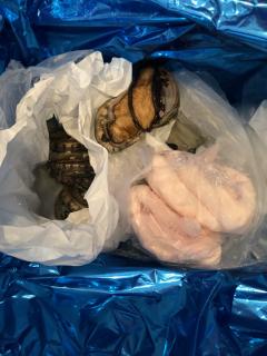 ����ӤȲ��ڤ����