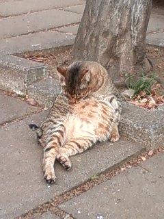 ��������طݿͤȤ����������٤��