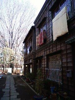 �ǲ��Ǿ��˥塼�衼���פ��