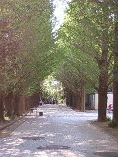 ���ڲ»Ρ֤�����Τޤޤˡ�