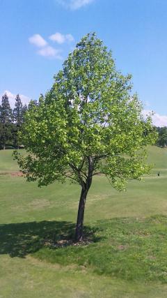 ��ϥ󡦥��饤�աʥ��å���������������ɽ��