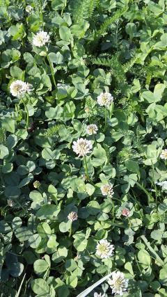 Ω���������ǯ���¡פ��