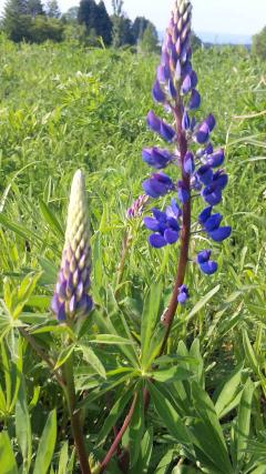 Ω���������ǯ���¡פ��