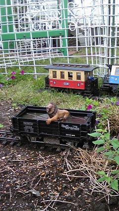 ��Ϸ���ٵס֤դ���Υץ��ե��å���ʥ�פ��