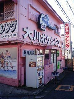 �ǲ�֥���ꥫ�󡦥���󥰥������פ��