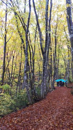 ��ëĹ�ȡ����̡פ��