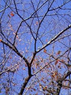 �ˡ�����