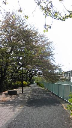 �����շ���������