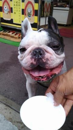 ���λ���󥳤ϡ�