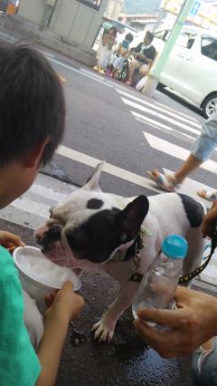 ������ꡪ