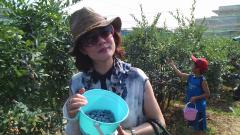 �֥롼�٥꡼�����