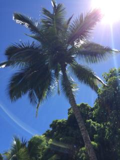 ���äȤ����֤�