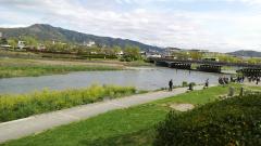 ���ԤǤ���