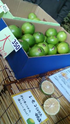 ���޸�����