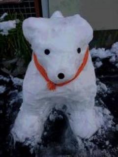 �����Ǥ��͡�