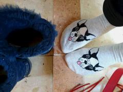 �����������