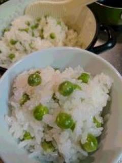 �դι�����