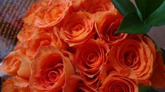 誕生日でした〜