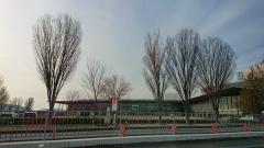 �ƤӲĻ��Ǥ���