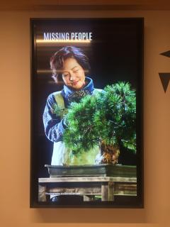 ��ǰ�ʤ���