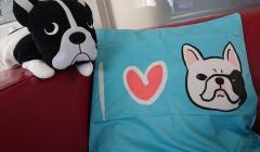 �Ľ뤪���񤤿����夲�ޤ�