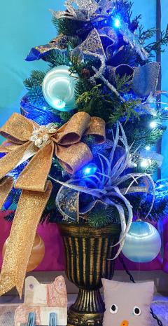 Merry Christmas��