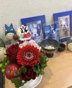 ���磻�����֢�