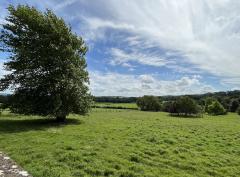 �夤���ɡ�