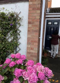 �ۥ��ȥޥ���������