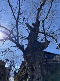 �⤭�ޡ�����