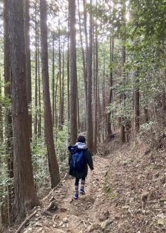 �������ޡ���