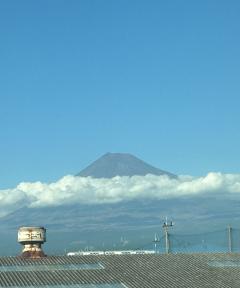 ʼ�ˤ˸����äƤޤ���