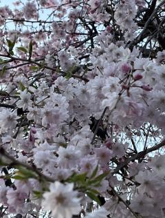 䤨