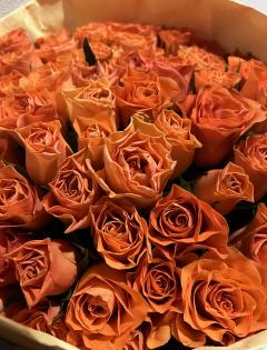 ���������ΥХ�