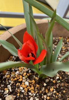 ³�����塼��å�