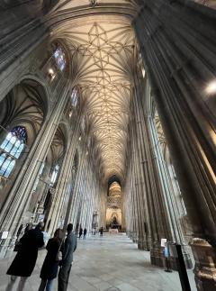 ���󥿥٥꡼����Ʋ��(^^)