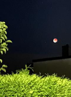 �������ȥꥢ��