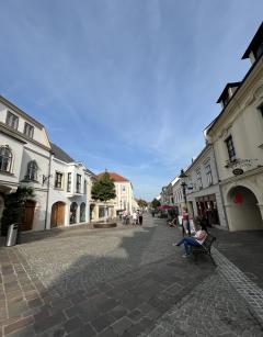 �������󥷥奿�åȤγ��¤�