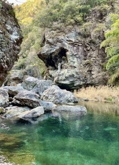 ���ŷ�ë��Ω��������