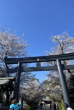 ����ޤ����͡�