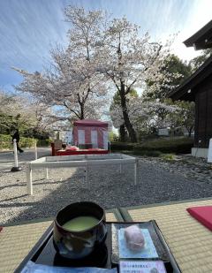 �����ι���(^^)