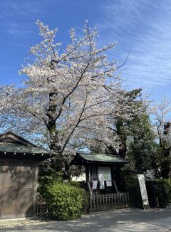 �����餵�����