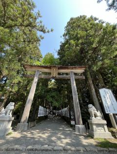 ���褤�跧���ܵ���Ҥ�